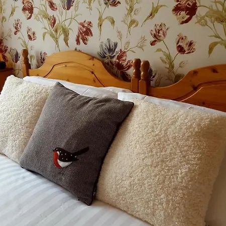 Dorchester House בית הארחה 4*