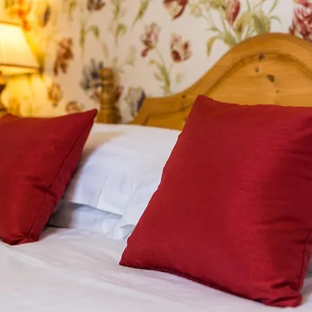 Casa de hóspedes Dorchester House